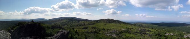Picture 13 of Wilbur Ridge and Pine Mountain 070614