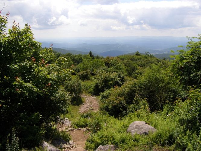 Picture 20 of Wilbur Ridge and Pine Mountain 070614