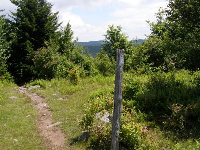 Picture 21 of Wilbur Ridge and Pine Mountain 070614