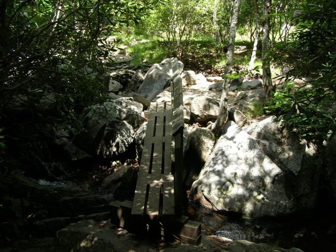 Picture 26 of Wilbur Ridge and Pine Mountain 070614