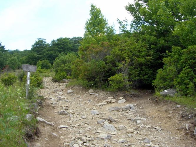 Picture 32 of Wilbur Ridge and Pine Mountain 070614