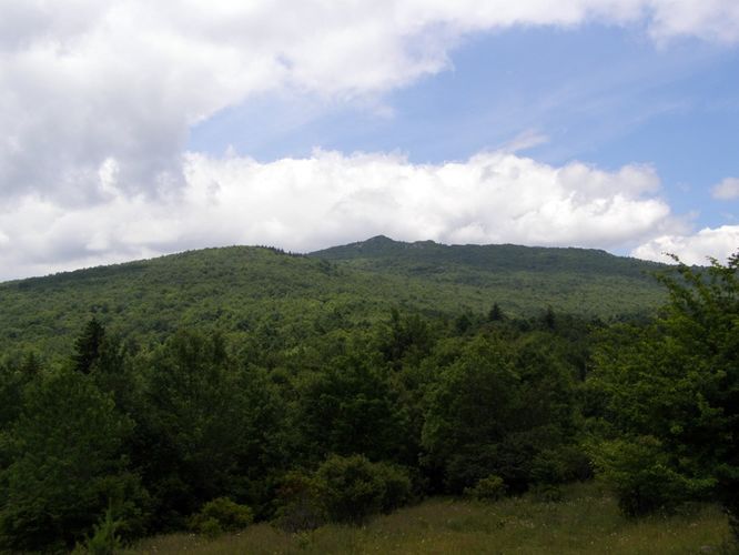 Picture 33 of Wilbur Ridge and Pine Mountain 070614