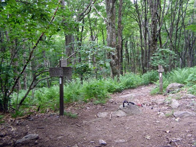 Picture 38 of Wilbur Ridge and Pine Mountain 070614