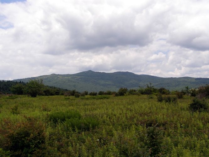 Picture 40 of Wilbur Ridge and Pine Mountain 070614