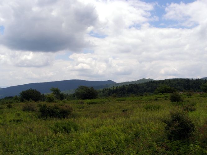 Picture 41 of Wilbur Ridge and Pine Mountain 070614