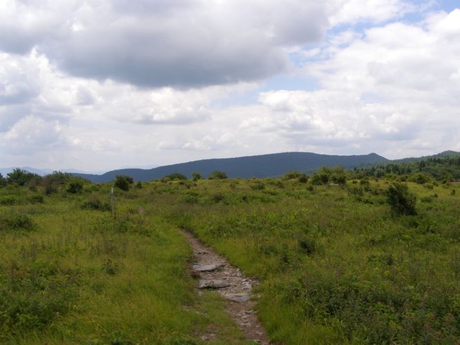 Picture 43 of Wilbur Ridge and Pine Mountain 070614