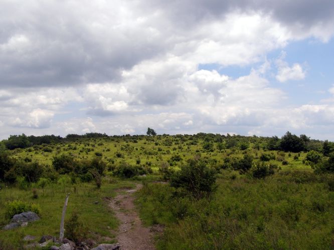Picture 48 of Wilbur Ridge and Pine Mountain 070614