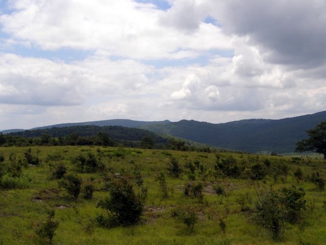 Picture 50 of Wilbur Ridge and Pine Mountain 070614