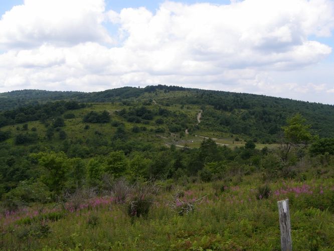 Picture 51 of Wilbur Ridge and Pine Mountain 070614