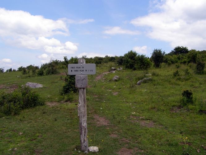 Picture 53 of Wilbur Ridge and Pine Mountain 070614