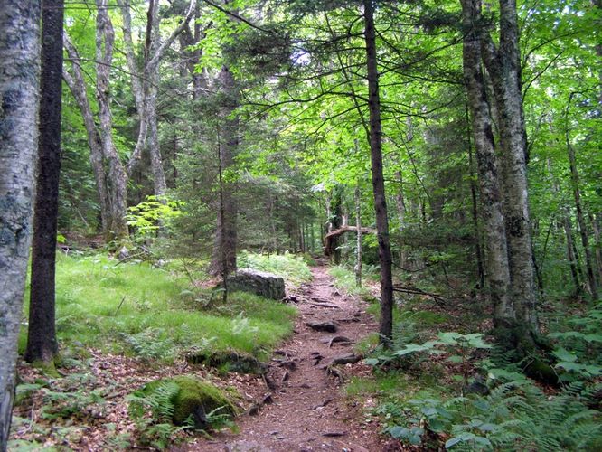 Picture 58 of Wilbur Ridge and Pine Mountain 070614
