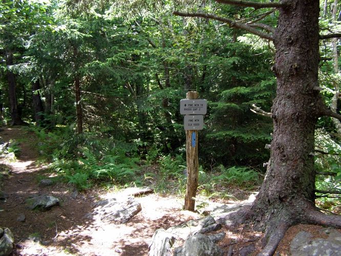 Picture 60 of Wilbur Ridge and Pine Mountain 070614