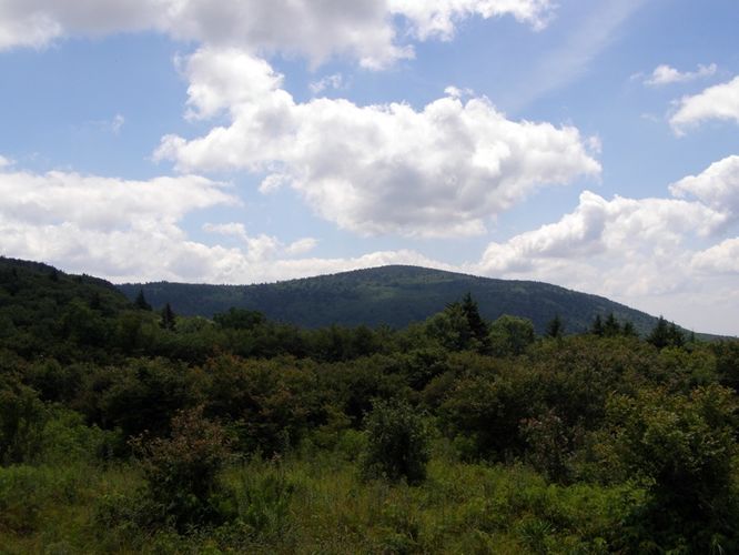 Picture 62 of Wilbur Ridge and Pine Mountain 070614