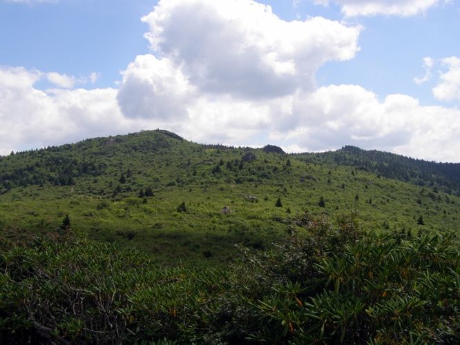 Picture 67 of Wilbur Ridge and Pine Mountain 070614