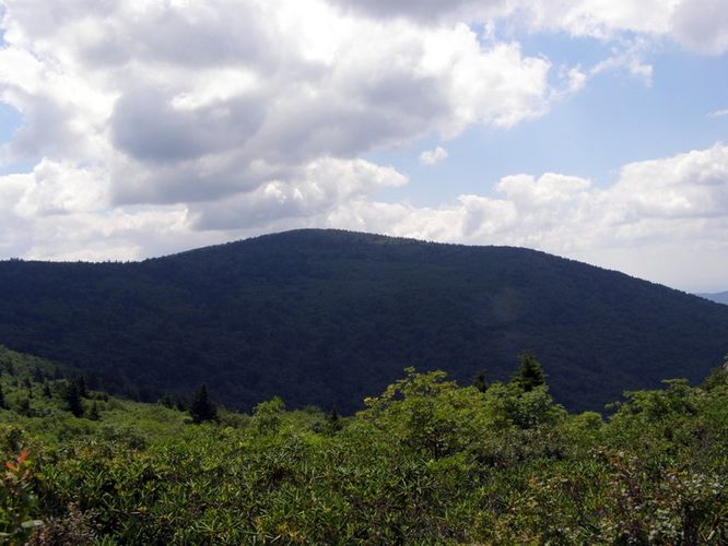 Picture 68 of Wilbur Ridge and Pine Mountain 070614