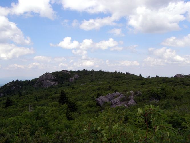 Picture 70 of Wilbur Ridge and Pine Mountain 070614