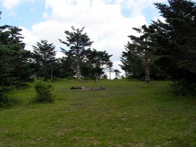 Picture 75 of Wilbur Ridge and Pine Mountain 070614