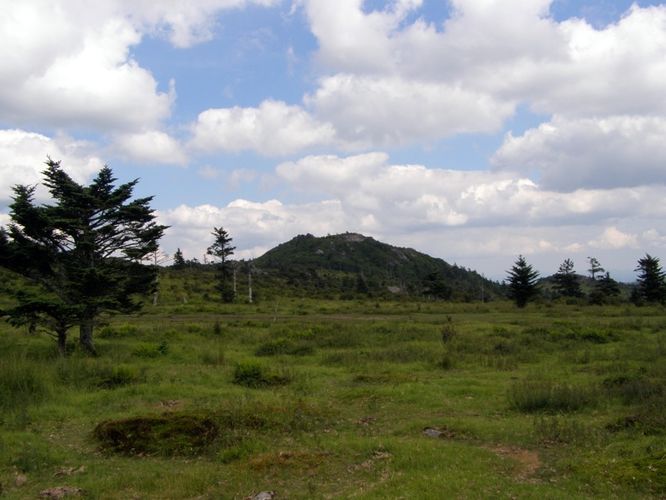 Picture 76 of Wilbur Ridge and Pine Mountain 070614