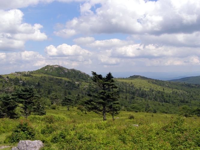 Picture 77 of Wilbur Ridge and Pine Mountain 070614