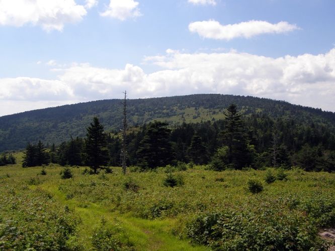 Picture 78 of Wilbur Ridge and Pine Mountain 070614