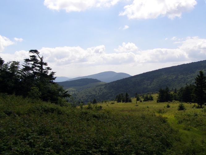 Picture 79 of Wilbur Ridge and Pine Mountain 070614