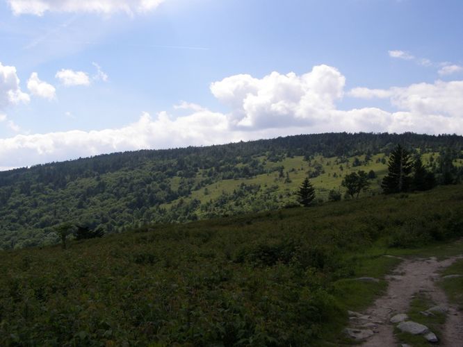 Picture 80 of Wilbur Ridge and Pine Mountain 070614