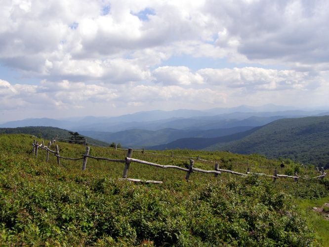 Default image for Wilbur Ridge and Pine Mountain, a 13.0-mile trail in Mouth of Wilson, VA (US)