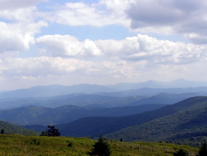 Picture 84 of Wilbur Ridge and Pine Mountain 070614