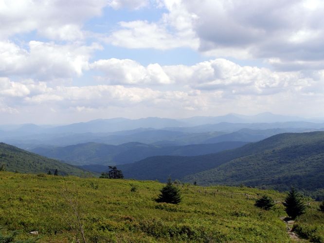 Picture 86 of Wilbur Ridge and Pine Mountain 070614