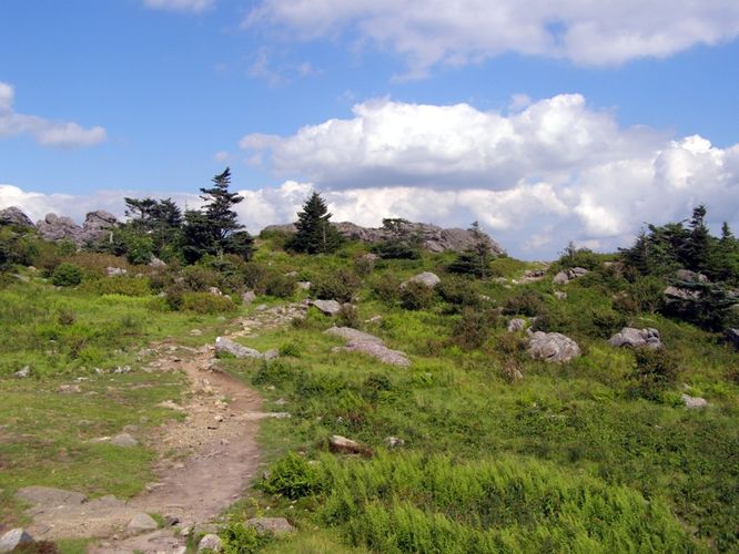 Picture 92 of Wilbur Ridge and Pine Mountain 070614