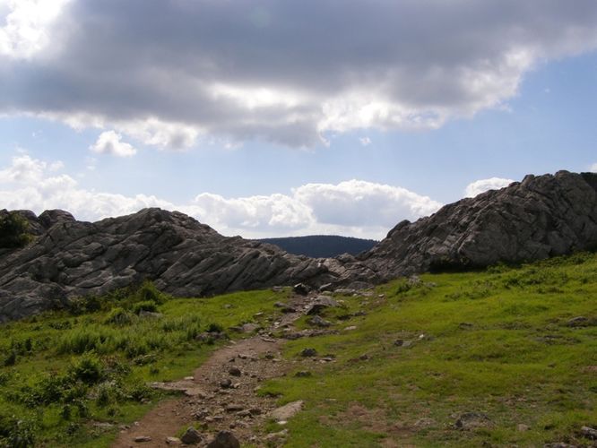 Picture 93 of Wilbur Ridge and Pine Mountain 070614