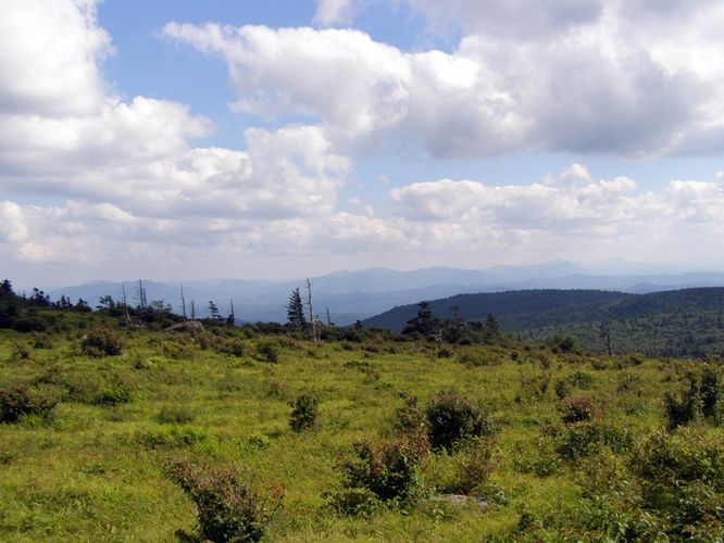 Picture 97 of Wilbur Ridge and Pine Mountain 070614