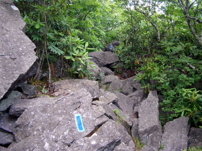 Picture 100 of Wilbur Ridge and Pine Mountain 070614