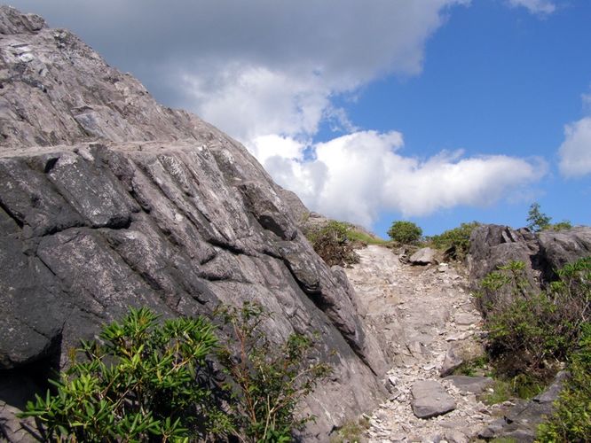 Picture 101 of Wilbur Ridge and Pine Mountain 070614