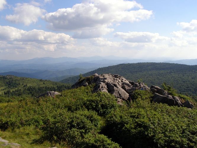 Picture 120 of Wilbur Ridge and Pine Mountain 070614