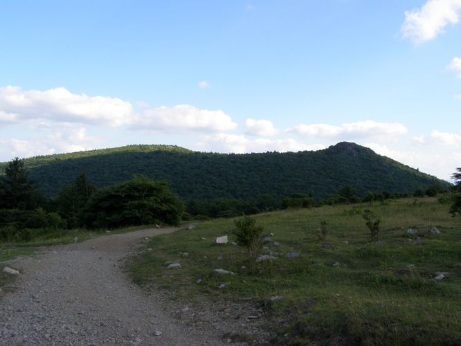 Picture 129 of Wilbur Ridge and Pine Mountain 070614
