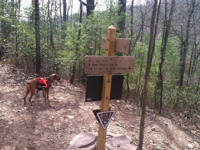 Picture 2 of Wild Oak Trail 040820