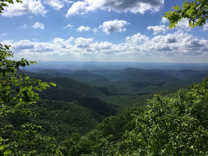 Default image for Wild Oak Trail, a 27.2-mile trail in West Augusta, VA (US)