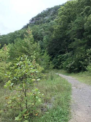 Picture 3 of Wilderness Road Trail