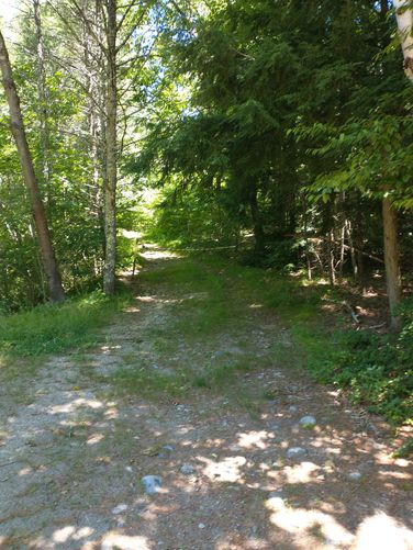 The trail starts off wide and flat and easy to navigate