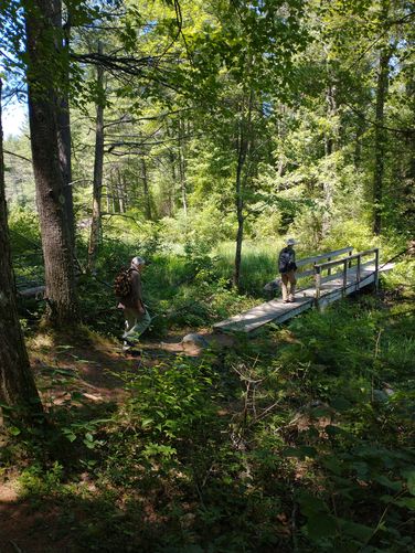 One of the many sturdy bridges to help navigate over wet area