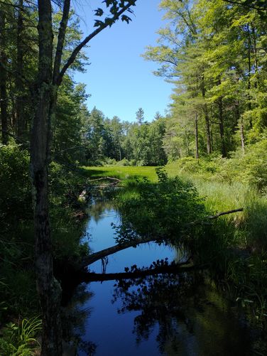 Beautiful Views from the bridge