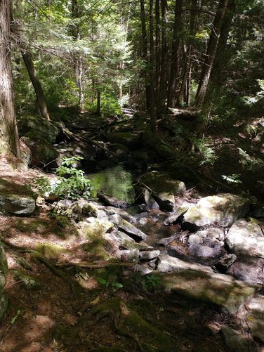 Trickling stream alongside the trail