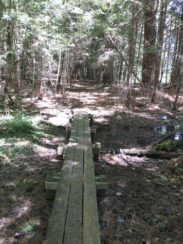 A boardwalk over muddy spots