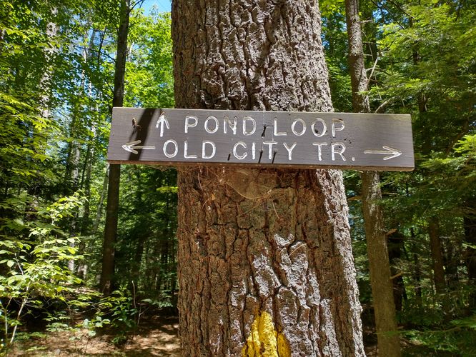 Trail signage and trail blaze