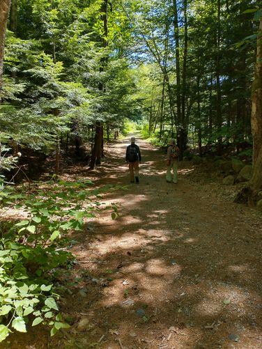 The trail is wide enough for people to walk side by side