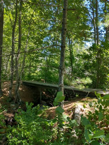 Another sturdy bridge