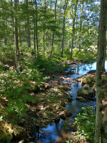 A trickling stream coming from the pond