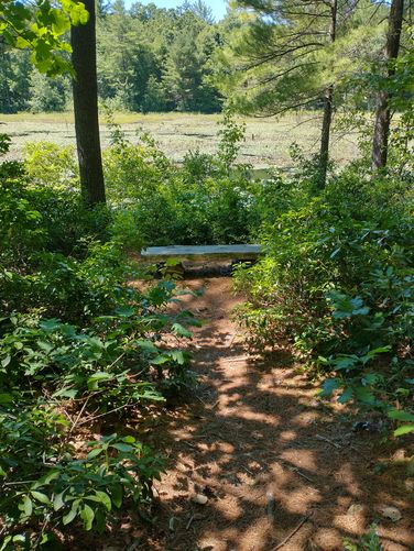 A bench for resting