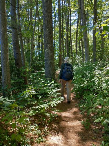 Trail substrate